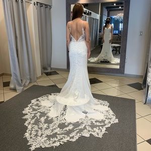 Wedding Dress + Veil